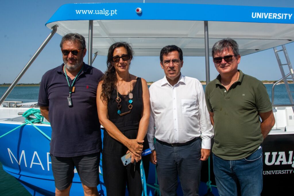 Sul Informação