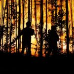 Sul Informação - Pessoas retiradas de casa por precaução no incêndio de Monchique (com fotos)