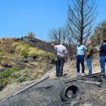 Sul Informação - Câmara e Juntas de Castro Marim ajudam agricultores a reportar prejuízos sofridos no incêndio