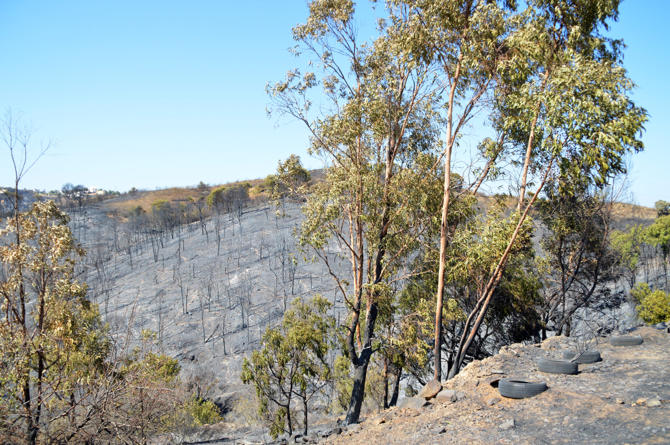 Sul Informação - Dominado o incêndio, «é hora de arregaçar as mangas e trabalhar»