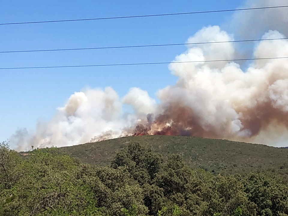 Sul Informação - Incêndio de Loulé arde «livremente em zona de difícil acesso»