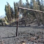 Sul Informação - «O mais importante foi salvo: a minha casinha»