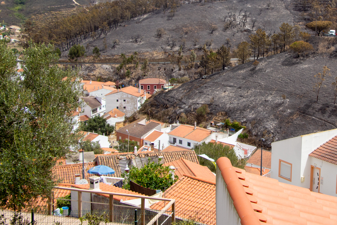 Sul Informação - «Nós estamos cá, mas o fogo destruiu-nos o trabalho de uma vida»