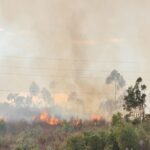 Sul Informação - Portimão: Incêndio com duas frentes no Rasmalho já está controlado (com fotos)