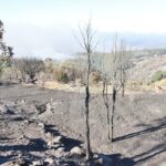 Sul Informação - Hotel do Grupo Pestana e várias localidades de Portimão evacuadas devido ao incêndio