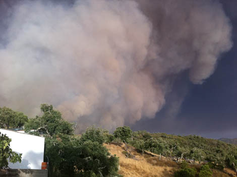 Sul Informação - Ministro da Administração Interna entrega avaliação dos incêndios a especialista independente
