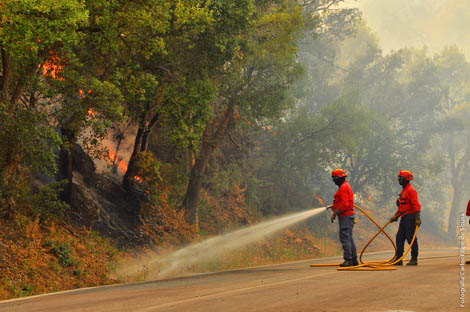 Sul Informação - Projeto de Resolução de apoio a vítimas dos incêndios aprovado por unanimidade no Parlamento