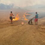 Sul Informação - Frente Sul do incêndio dirige-se para «áreas povoadas» mais «vulneráveis»