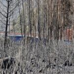 Sul Informação - «Próximas horas vão ser fundamentais» para controlar de vez incêndio de Monchique (com fotos)