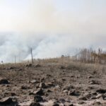 Sul Informação - «Próximas horas vão ser fundamentais» para controlar de vez incêndio de Monchique (com fotos)