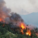Sul Informação - «Próximas horas vão ser fundamentais» para controlar de vez incêndio de Monchique (com fotos)