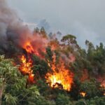Sul Informação - «Próximas horas vão ser fundamentais» para controlar de vez incêndio de Monchique (com fotos)