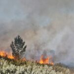 Sul Informação - «Próximas horas vão ser fundamentais» para controlar de vez incêndio de Monchique (com fotos)