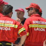 Sul Informação - Cães parecidos com os donos e muita coisa para ver e comprar na International Algarve Fair em Lagoa [fotogaleria]