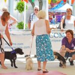 Sul Informação - Cães parecidos com os donos e muita coisa para ver e comprar na International Algarve Fair em Lagoa [fotogaleria]