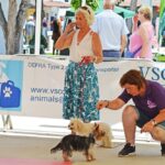 Sul Informação - Cães parecidos com os donos e muita coisa para ver e comprar na International Algarve Fair em Lagoa [fotogaleria]