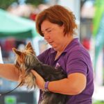 Sul Informação - Cães parecidos com os donos e muita coisa para ver e comprar na International Algarve Fair em Lagoa [fotogaleria]