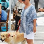 Sul Informação - Cães parecidos com os donos e muita coisa para ver e comprar na International Algarve Fair em Lagoa [fotogaleria]