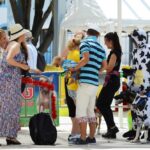 Sul Informação - Cães parecidos com os donos e muita coisa para ver e comprar na International Algarve Fair em Lagoa [fotogaleria]