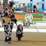 Sul Informação - Cães parecidos com os donos e muita coisa para ver e comprar na International Algarve Fair em Lagoa [fotogaleria]