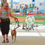 Sul Informação - Cães parecidos com os donos e muita coisa para ver e comprar na International Algarve Fair em Lagoa [fotogaleria]