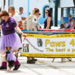 Sul Informação - Cães parecidos com os donos e muita coisa para ver e comprar na International Algarve Fair em Lagoa [fotogaleria]