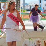 Sul Informação - Cães parecidos com os donos e muita coisa para ver e comprar na International Algarve Fair em Lagoa [fotogaleria]