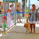 Sul Informação - Cães parecidos com os donos e muita coisa para ver e comprar na International Algarve Fair em Lagoa [fotogaleria]