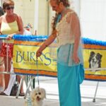 Sul Informação - Cães parecidos com os donos e muita coisa para ver e comprar na International Algarve Fair em Lagoa [fotogaleria]