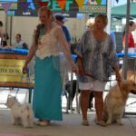 Sul Informação - Cães parecidos com os donos e muita coisa para ver e comprar na International Algarve Fair em Lagoa [fotogaleria]