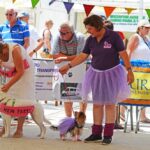 Sul Informação - Cães parecidos com os donos e muita coisa para ver e comprar na International Algarve Fair em Lagoa [fotogaleria]