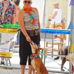 Sul Informação - Cães parecidos com os donos e muita coisa para ver e comprar na International Algarve Fair em Lagoa [fotogaleria]