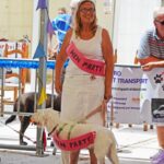 Sul Informação - Cães parecidos com os donos e muita coisa para ver e comprar na International Algarve Fair em Lagoa [fotogaleria]