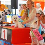 Sul Informação - Cães parecidos com os donos e muita coisa para ver e comprar na International Algarve Fair em Lagoa [fotogaleria]