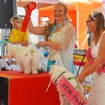Sul Informação - Cães parecidos com os donos e muita coisa para ver e comprar na International Algarve Fair em Lagoa [fotogaleria]