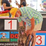 Sul Informação - Cães parecidos com os donos e muita coisa para ver e comprar na International Algarve Fair em Lagoa [fotogaleria]