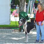 Sul Informação - Cães parecidos com os donos e muita coisa para ver e comprar na International Algarve Fair em Lagoa [fotogaleria]