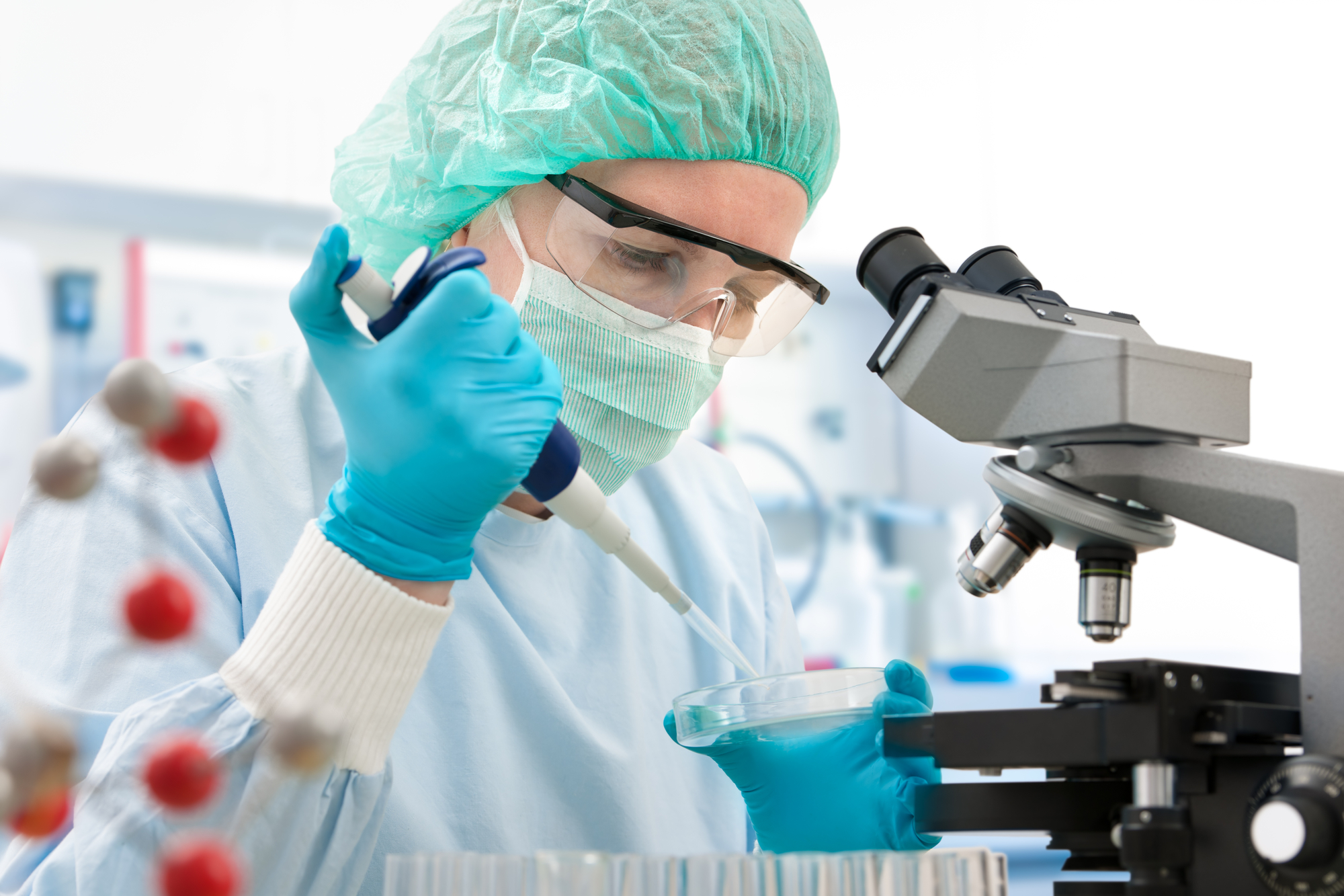 Sul Informação - Candidaturas ao “Prémio Investigador UAlg” decorrem até 31 de Julho