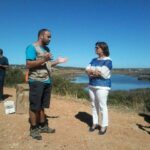 Sul Informação - Falcão-peneireiro já voa em liberdade na Ria de Alvor