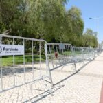Sul Informação - Portimão abate árvores «em risco de queda iminente» no Jardim Visconde Bivar