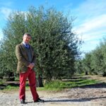 Sul Informação - No Alentejo, há quem mantenha a tradição de «produzir dos melhores azeites do mundo»