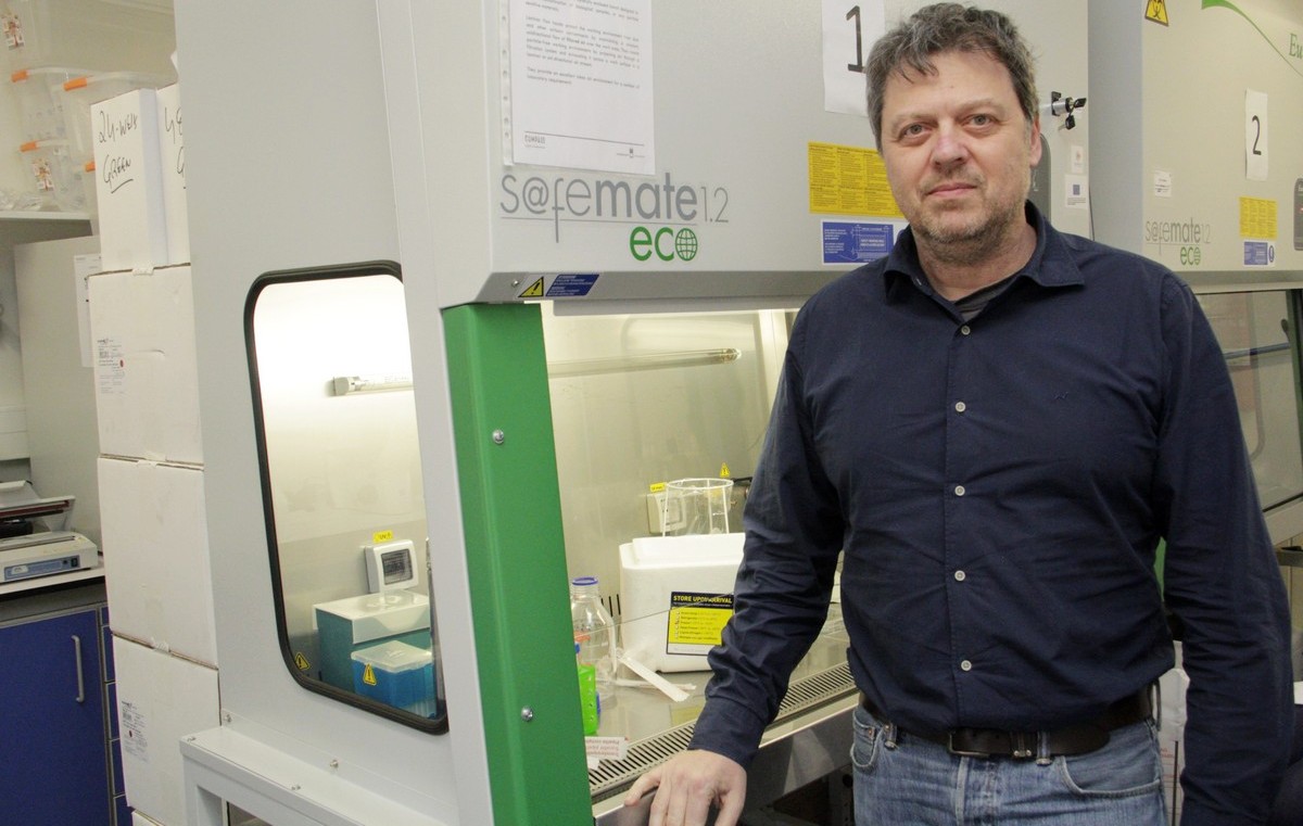 Sul Informação - Regeneração de ossos vale bolsa de 2,5 milhões de euros para cientista português