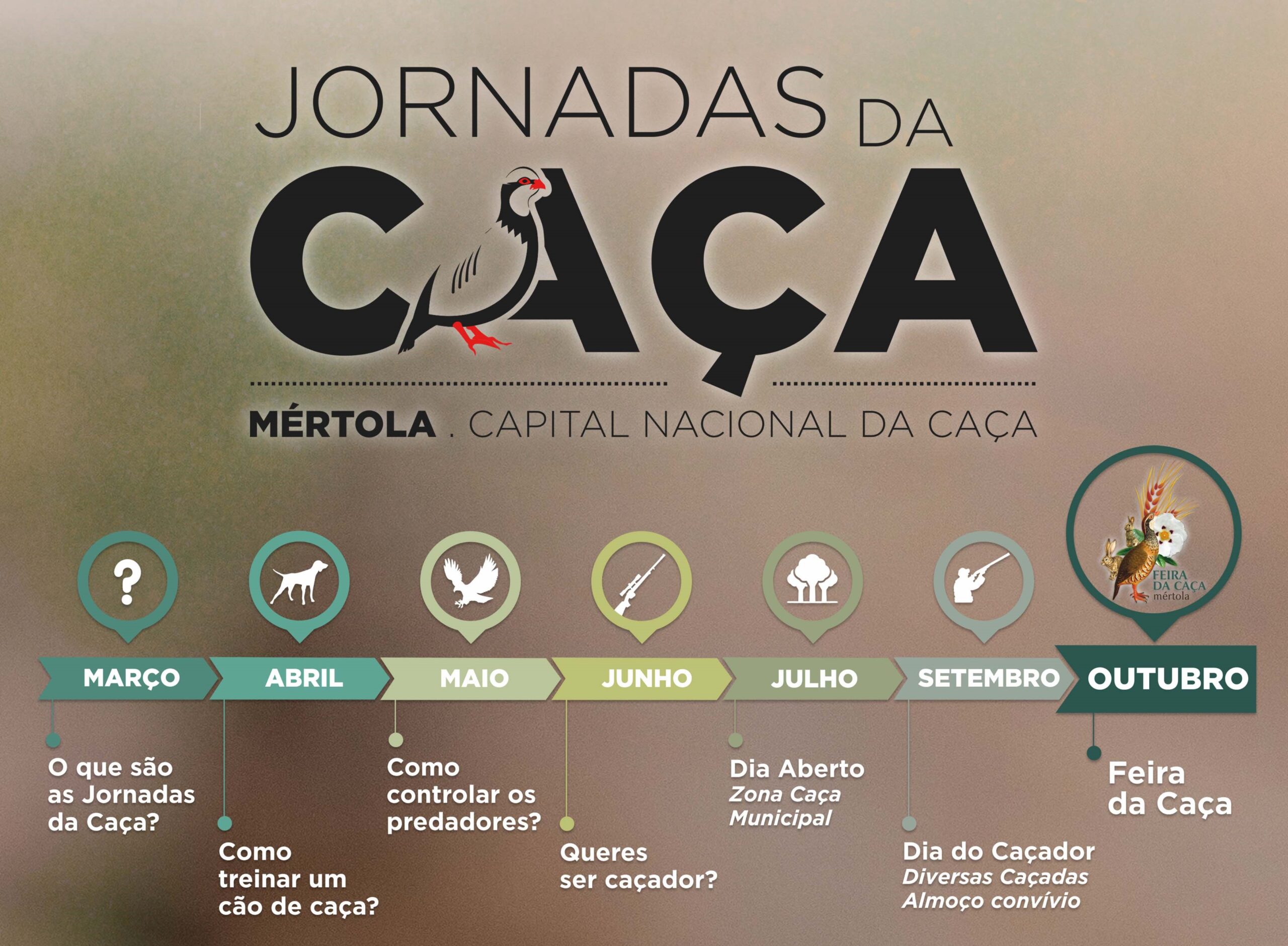 Sul Informação