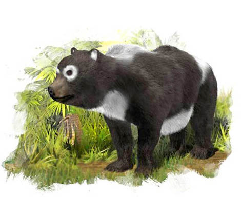 Sul Informação - O Panda catalão