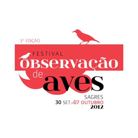 Sul Informação - Festival de Observação de Aves tem atividades para toda a família