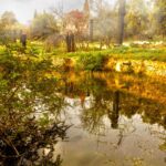 Sul Informação - FOTOGALERIA: Veja como era o Palácio da Fonte da Pipa antes do incêndio