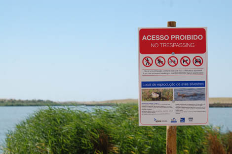 Sul Informação - Deputados algarvios do PSD e CDS pedem Avaliação de Impacto Ambiental do projeto da Praia Grande