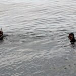Sul Informação - «Um movimento da sociedade» ajudou Quinas a voltar a nadar no oceano