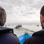 Sul Informação - Santuários e ciência ajudam população de cavalos-marinhos da Ria Formosa a crescer