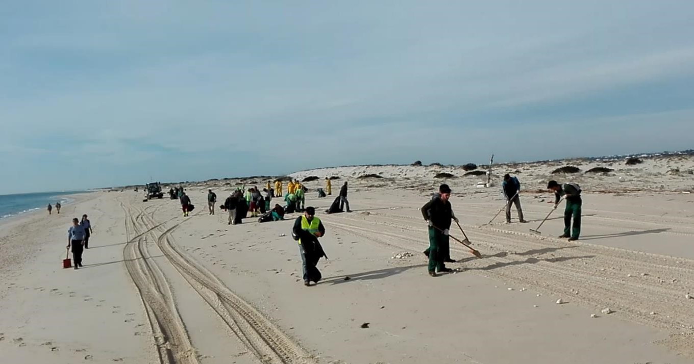 Sul Informação - 90 toneladas de óleo de palma retiradas de 20 km de areal na Armona, Culatra e Deserta